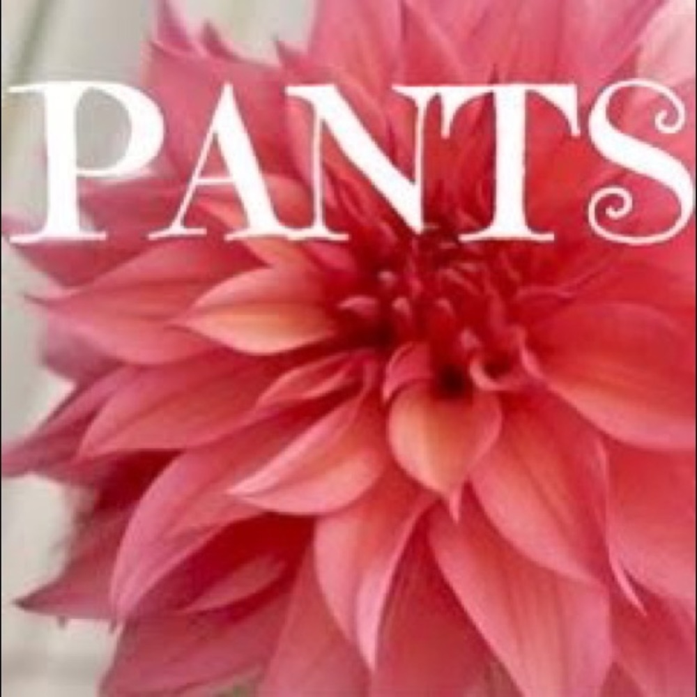 Pants / Slacks